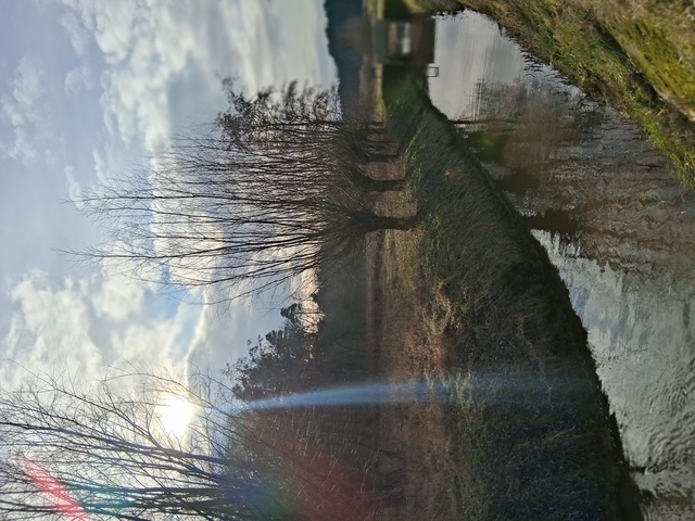 Zen.nl, Zen, meditatie, leren mediteren, foto